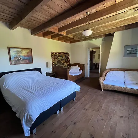 Harmangouty - Piscine Holiday home Raon-aux-Bois